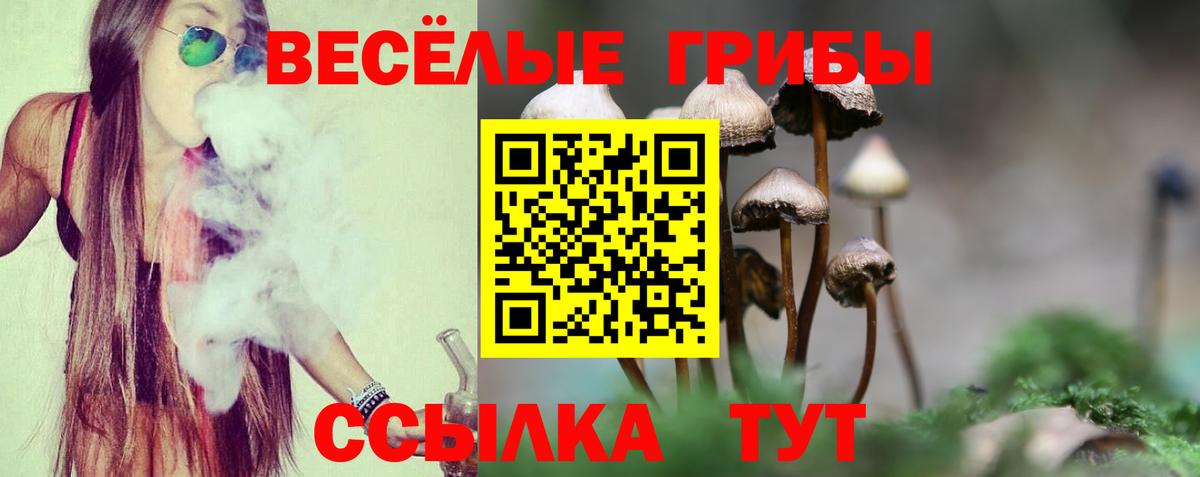 Галлюциногенные грибы ЛСД  Псилоцибиновые грибы GOLDEN TEACHER  Саянск  Вход с VPN 